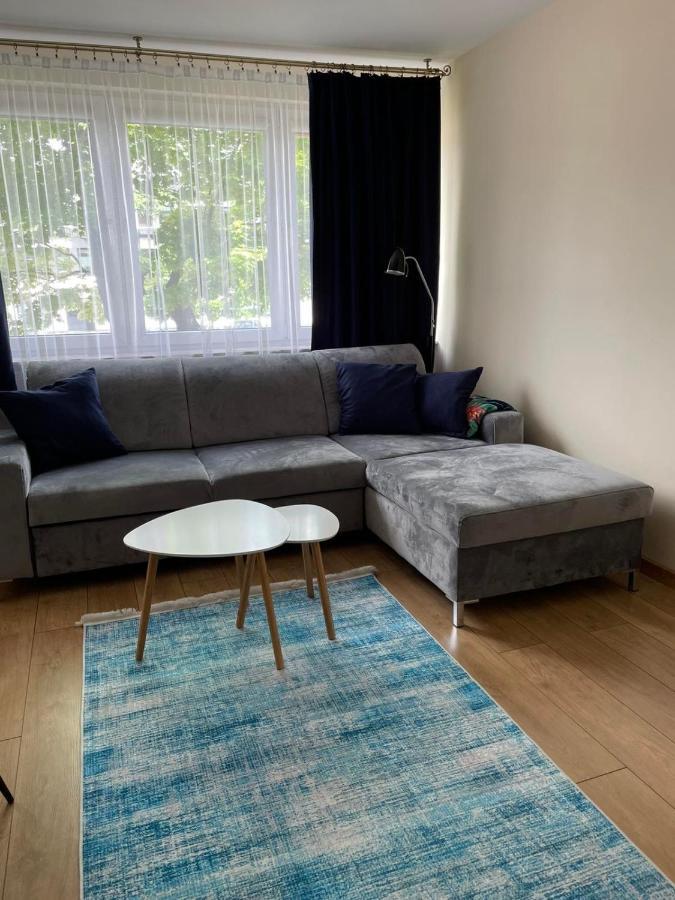 サンドミエシュApartament Mickiewicza 11アパートメント エクステリア 写真